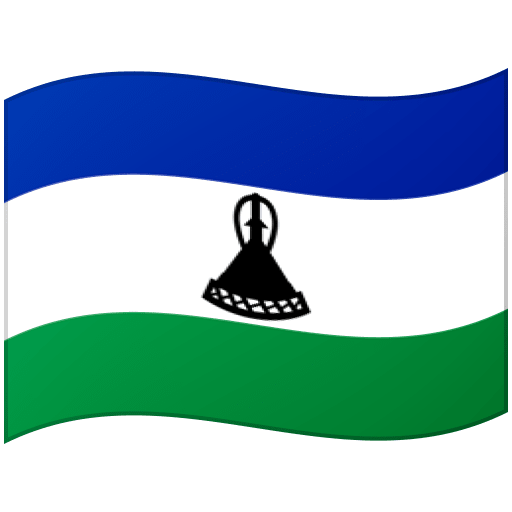 Google 🇱🇸
